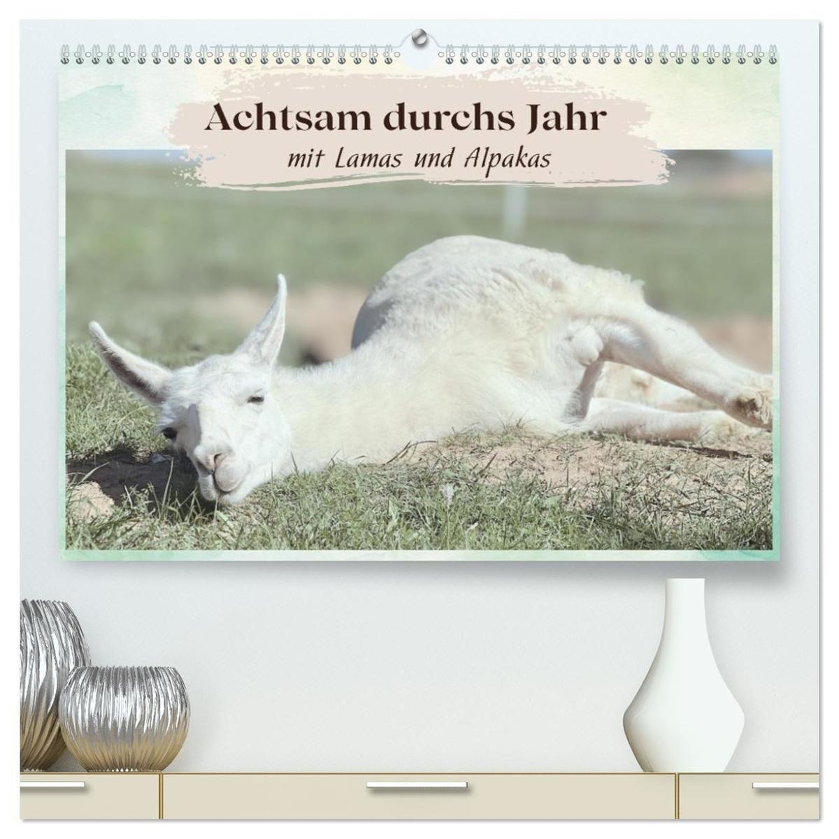Achtsam durchs Jahr mit Lamas und Alpakas (hochwertiger Premium Wandkalender 2027 DIN A2 quer) Kunstdruck in Hochglanz