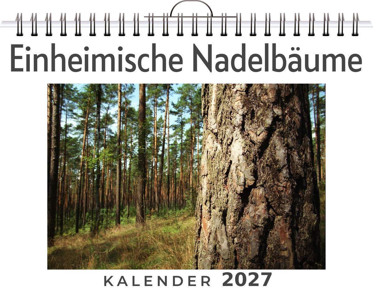 Einheimische Nadelbäume