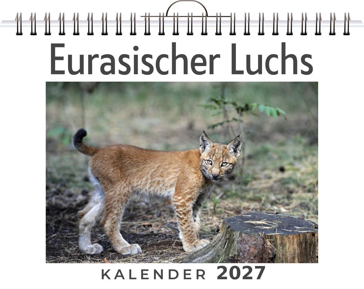 Eurasischer Luchs