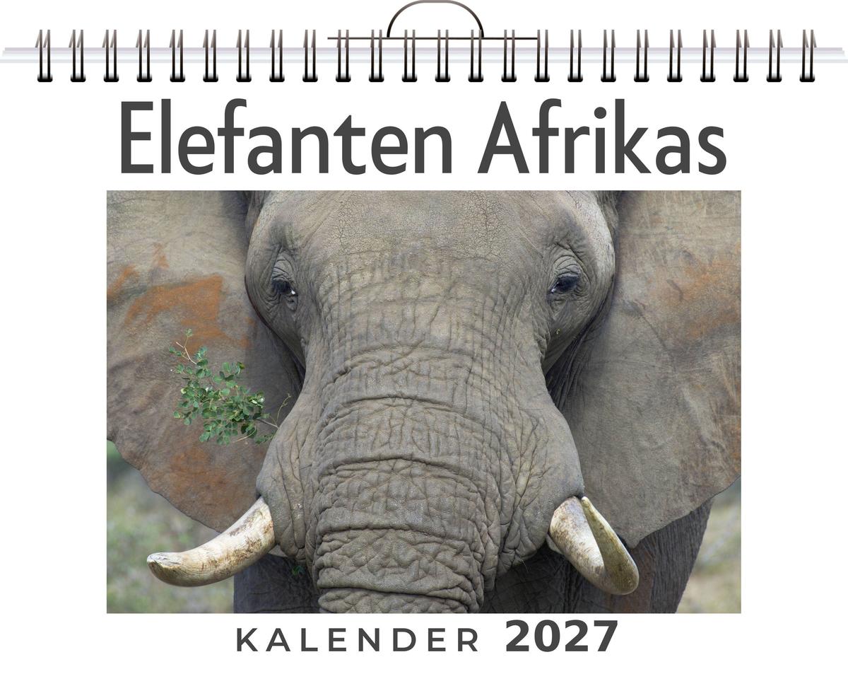 Elefanten Afrikas
