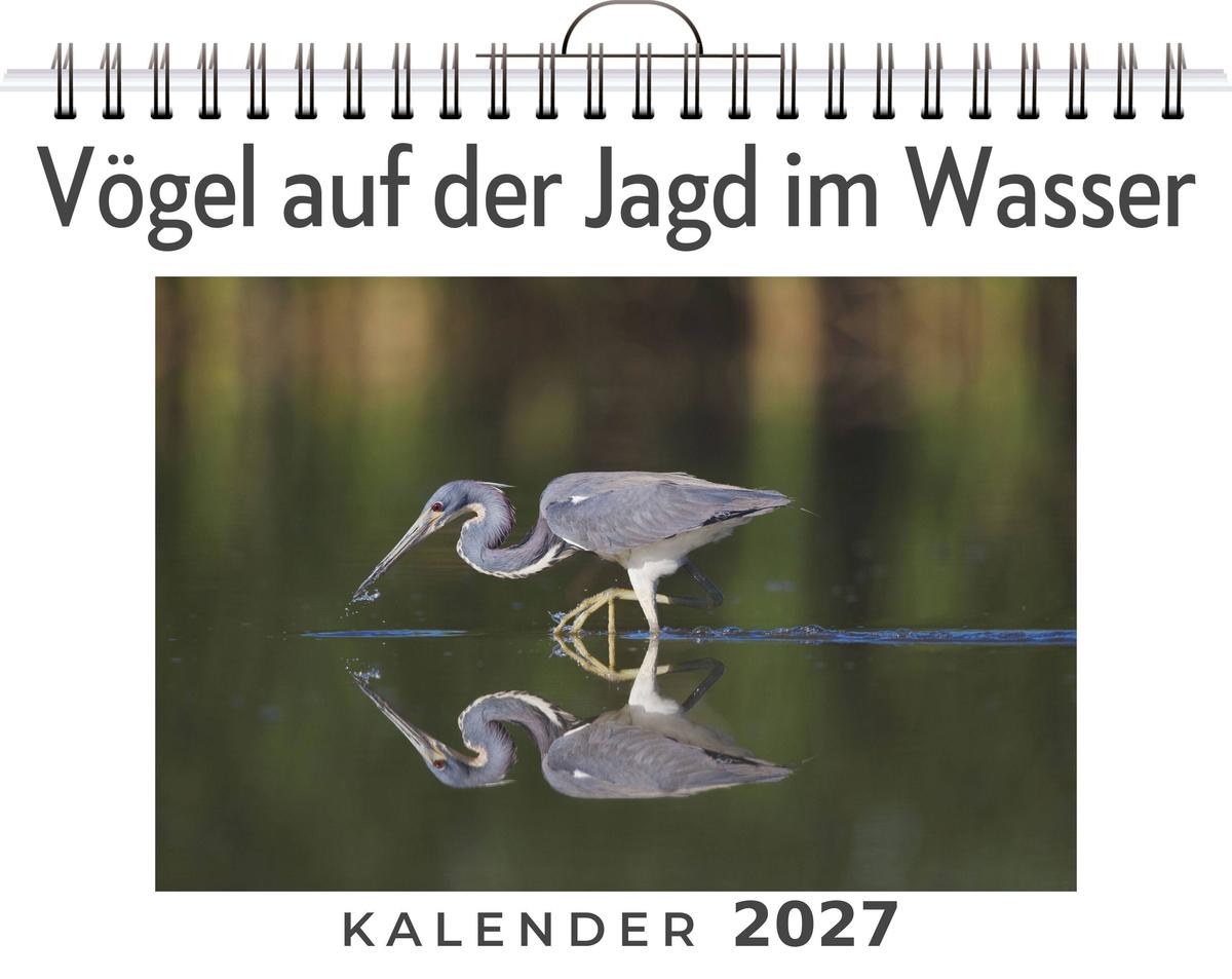 Vögel auf der Jagd im Wasser