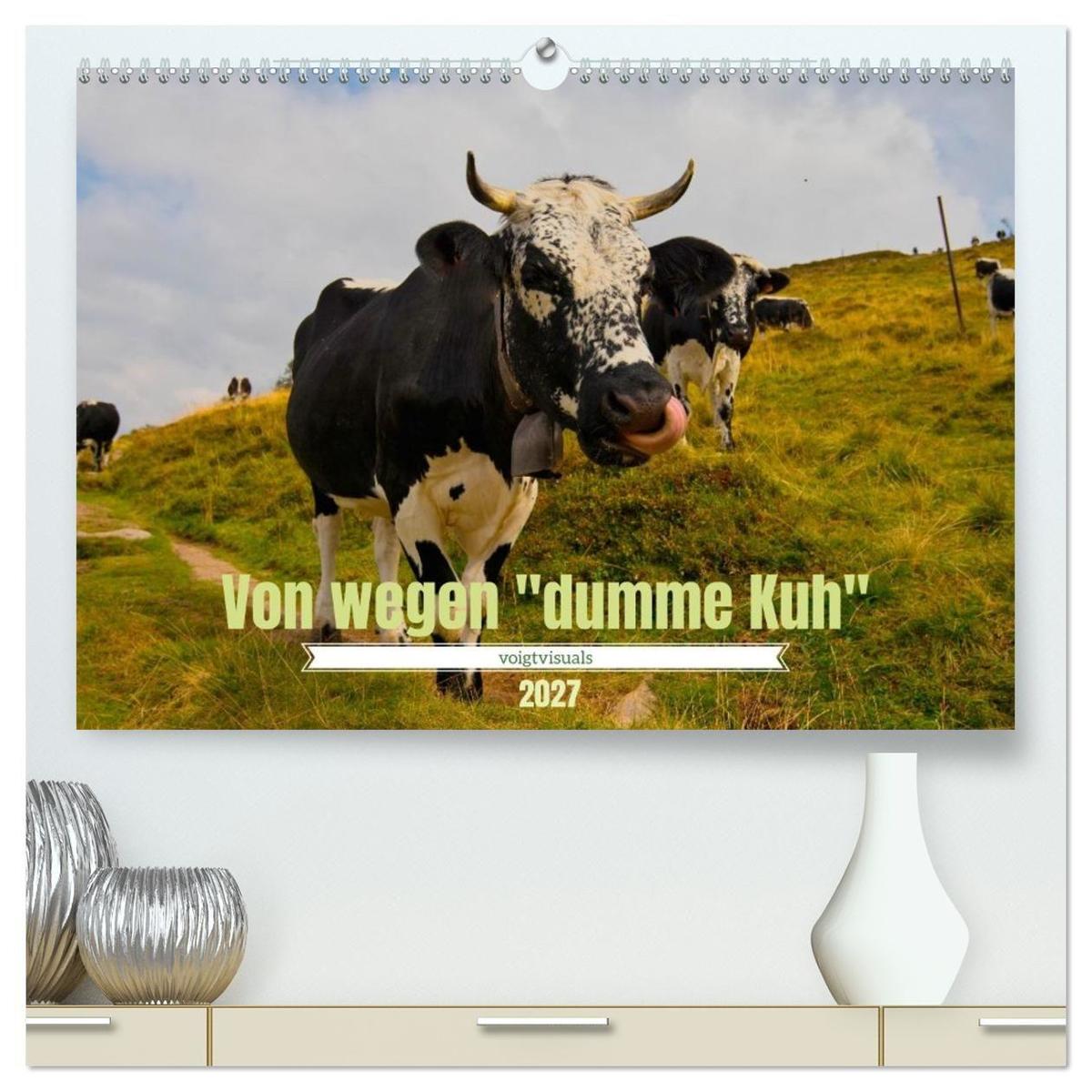 Von wegen 'dumme Kuh' - Ein Jahr mit Kühen (hochwertiger Premium Wandkalender 2027 DIN A2 quer) Kunstdruck in Hochglanz
