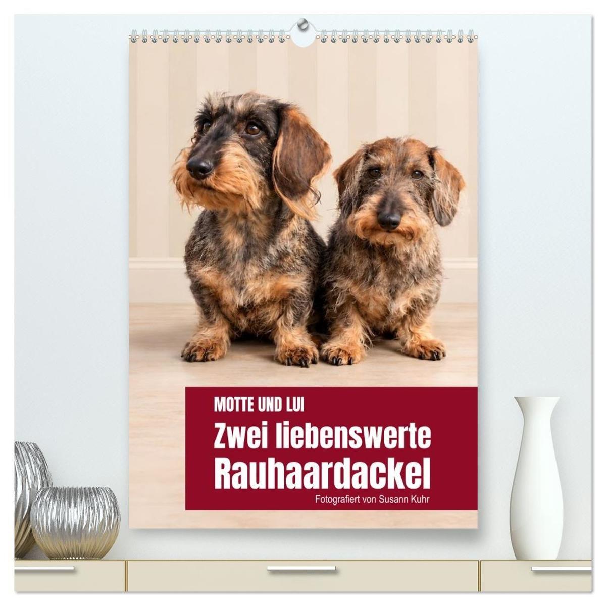 Motte und Lui. Zwei liebenswerte Rauhaardackel. (hochwertiger Premium Wandkalender 2027 DIN A2 hoch) Kunstdruck in Hochglanz