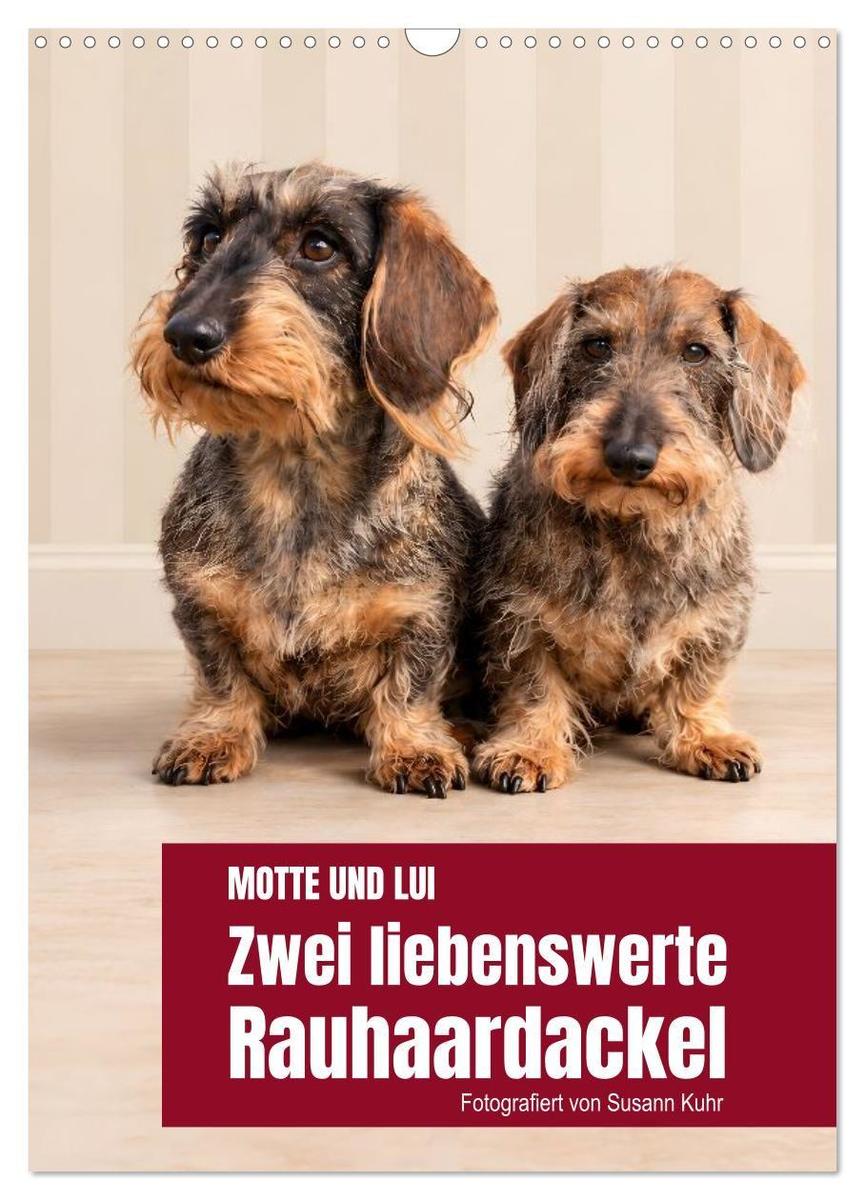 Motte und Lui. Zwei liebenswerte Rauhaardackel. (Wandkalender 2027 DIN A3 hoch) CALVENDO Monatskalender