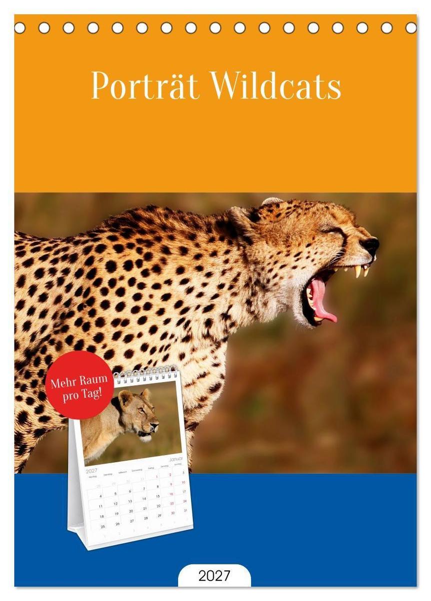 Tischplaner 2027 - Porträt Wildcats (A5 Tischkalender zum Aufstellen) CALVENDO