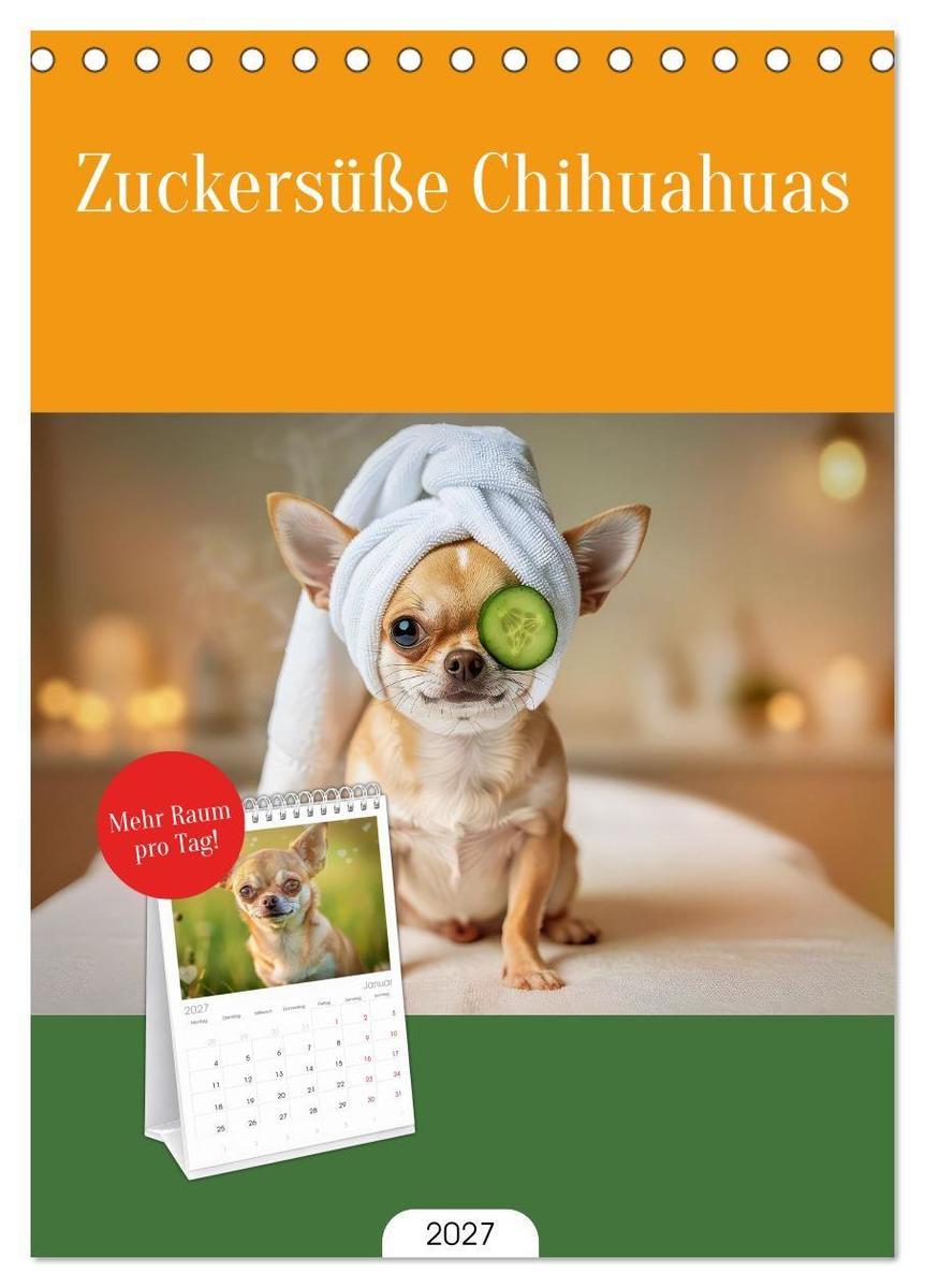Tischplaner 2027 - Zuckersüße Chihuahuas (A5 Tischkalender zum Aufstellen) CALVENDO