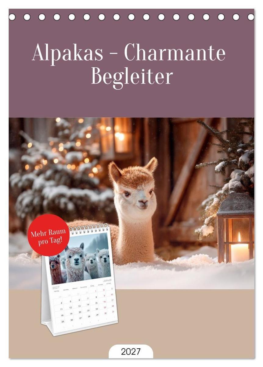 Tischplaner 2027 - Alpakas - Charmante Begleiter (A5 Tischkalender zum Aufstellen) CALVENDO