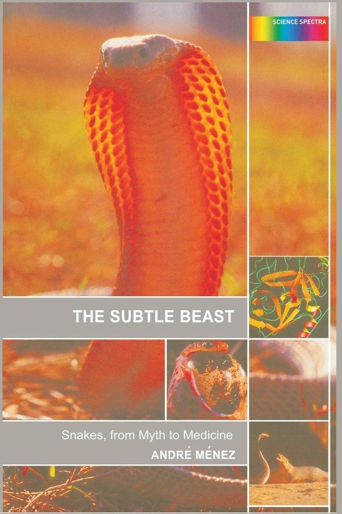 The Subtle Beast