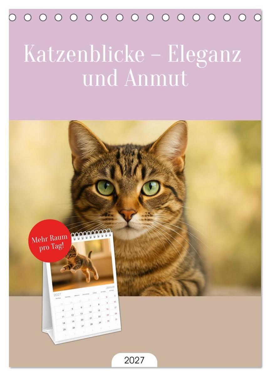 Tischplaner 2027 - Katzenblicke - Eleganz und Anmut (A5 Tischkalender zum Aufstellen) CALVENDO
