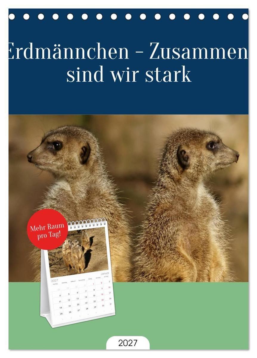 Tischplaner 2027 - Erdmännchen - Zusammen sind wir stark (A5 Tischkalender zum Aufstellen) CALVENDO