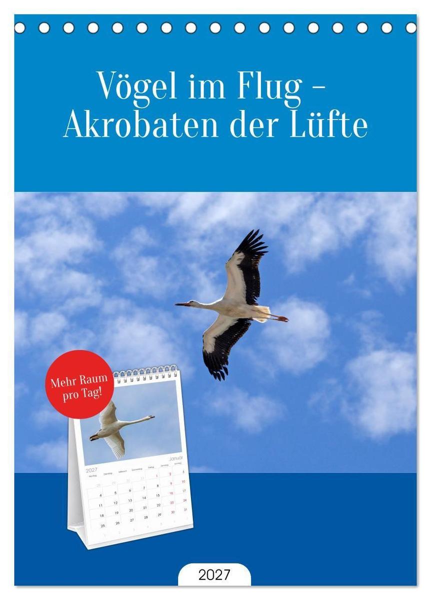 Tischplaner 2027 - Vögel im Flug - Akrobaten der Lüfte (A5 Tischkalender zum Aufstellen) CALVENDO
