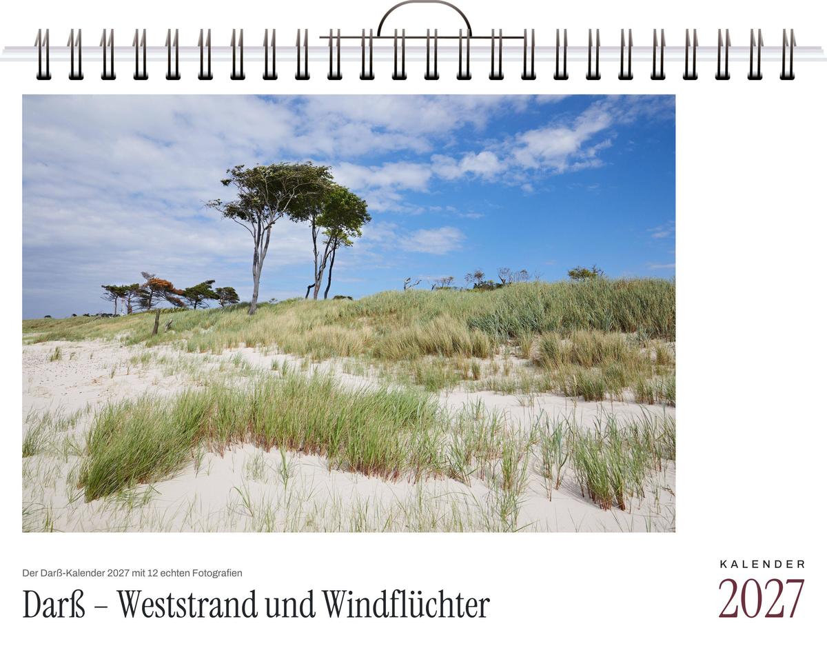 Darß - Weststrand und Windflüchter