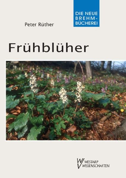 Wolf Verlagskg Frühblüher - Bild 3