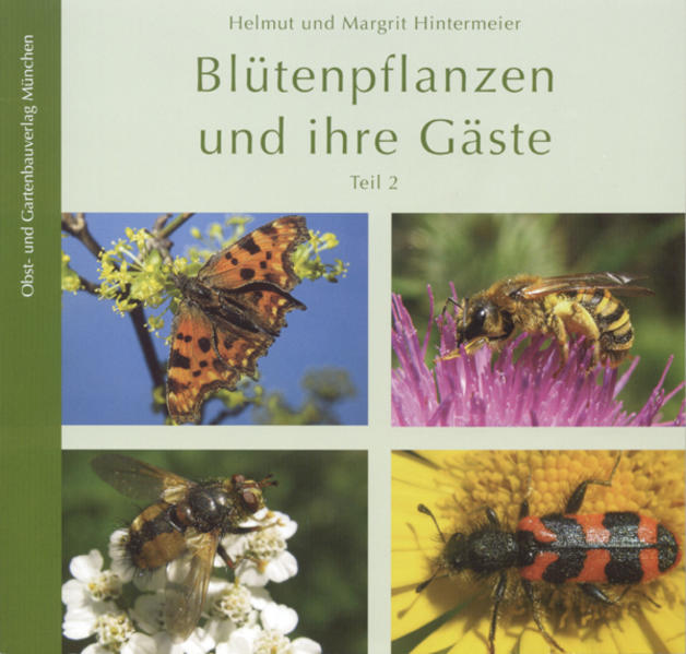 Blütenpflanzen und ihre Gäste 2 - Margrit Hintermeier/ Helmut Hintermeier