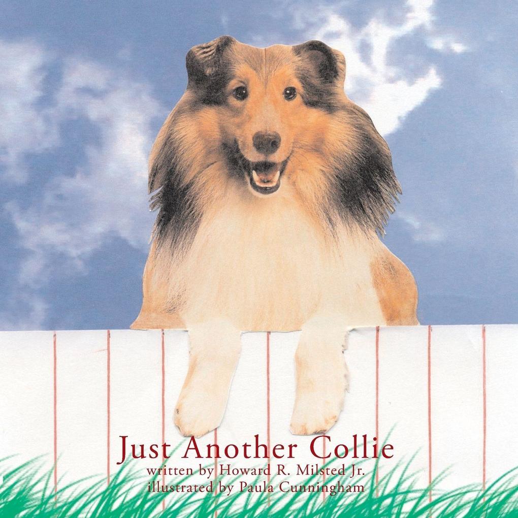 Just Another Collie