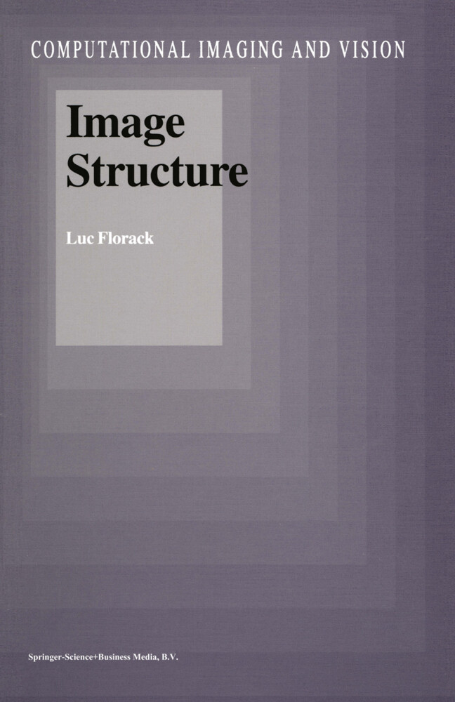 Image Structure - Luc Florack