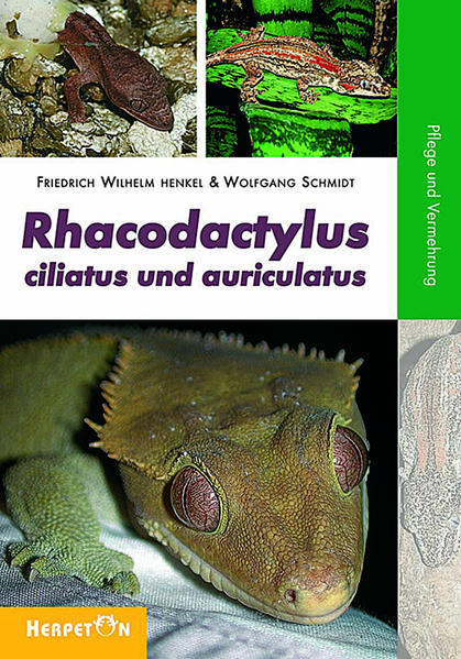 Rhacodactylus ciliatus und auriculatus - Friedrich-Wilhelm Henkel/ Wolfgang Schmidt/ Friedrich W Henkel