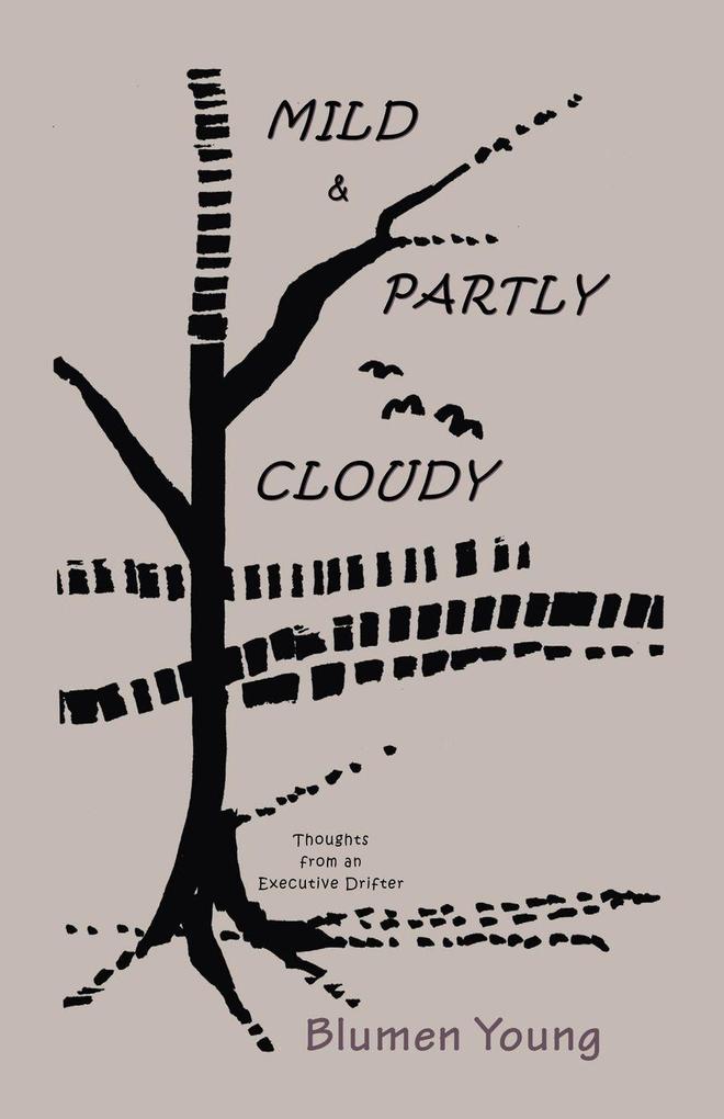 Mild and Partly Cloudy