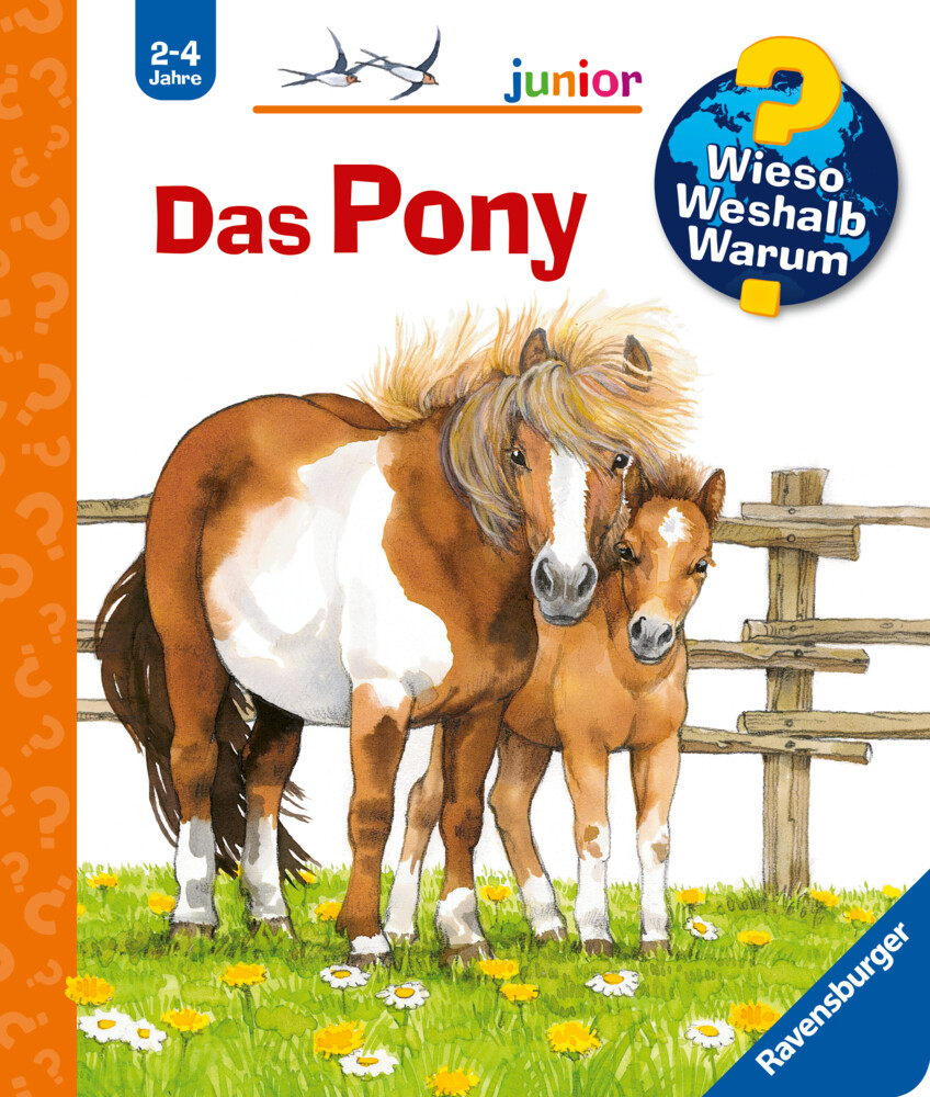 Image of Das Pony