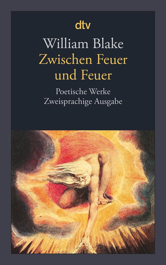 Dtv Verlagsgesellschaft Zwischen Feuer Und Feuer