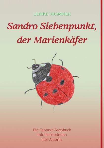 Image of Sandro Siebenpunkt der Marienkäfer