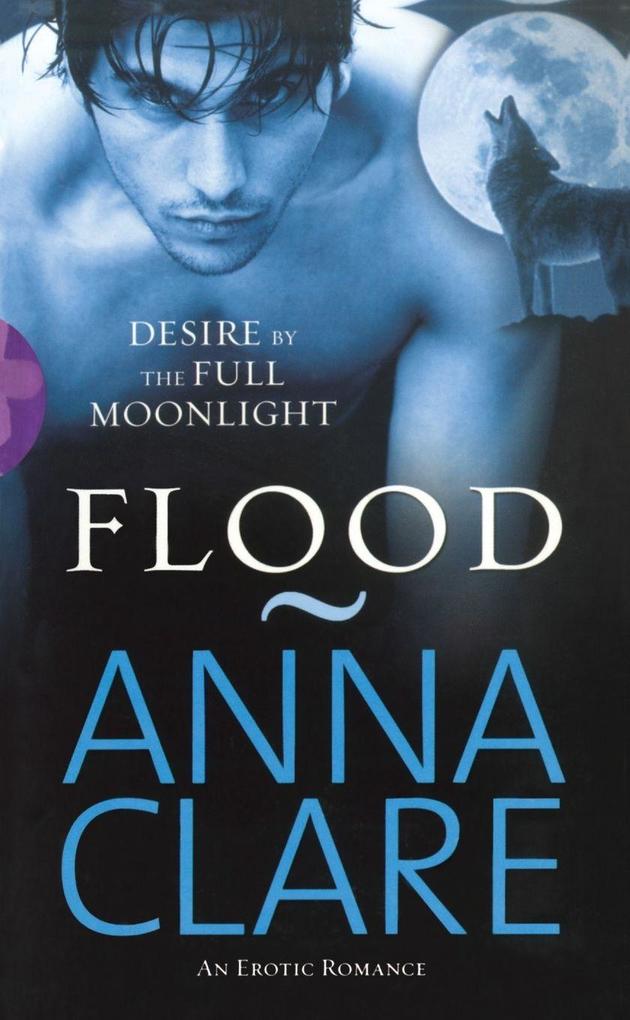 Flood