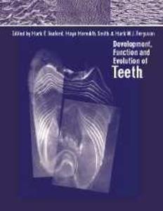 Development Function and Evolution of Teeth
