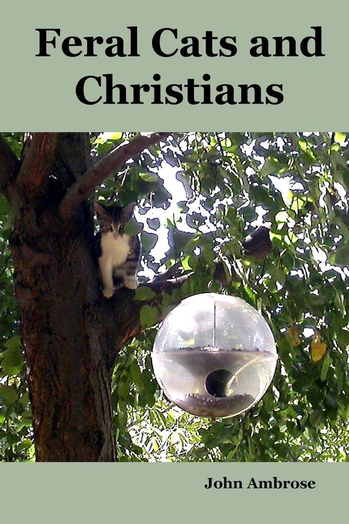 Feral Cats and Christians