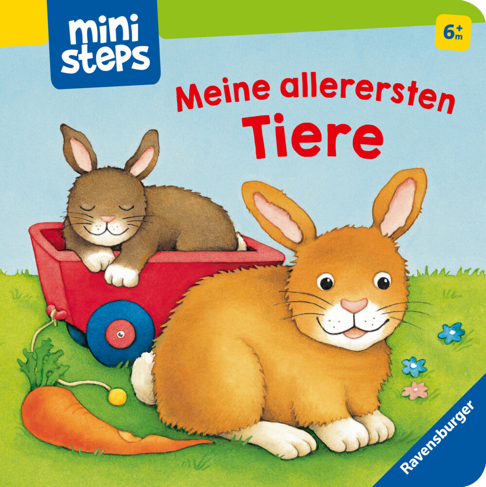 Image of ministeps: Meine allerersten Tiere