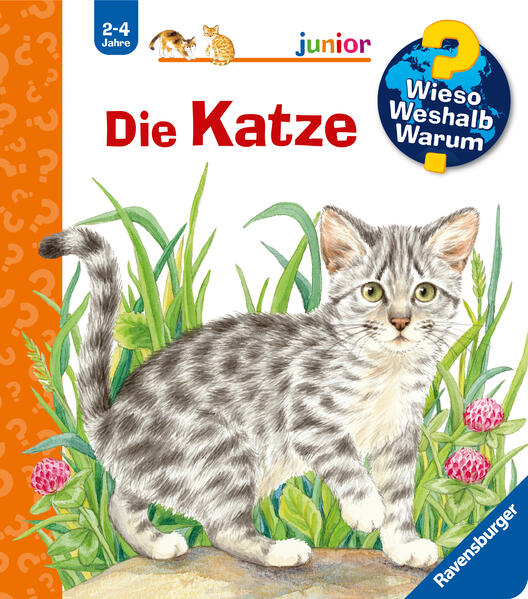 Wieso? Weshalb? Warum? junior Band 21: Die Katze