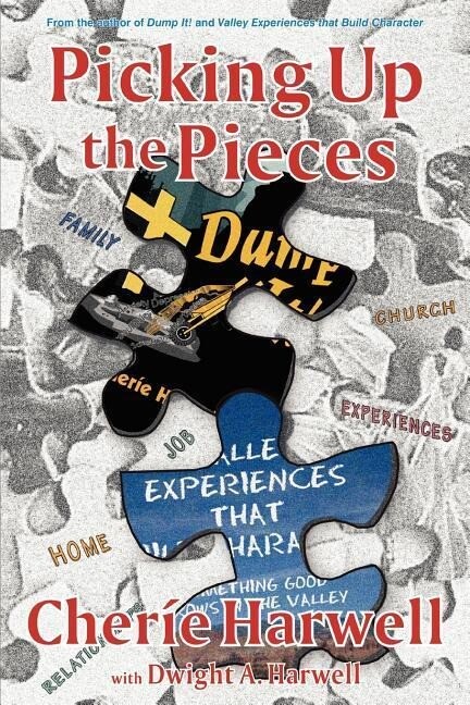 Picking up The Pieces: Dump It! Series