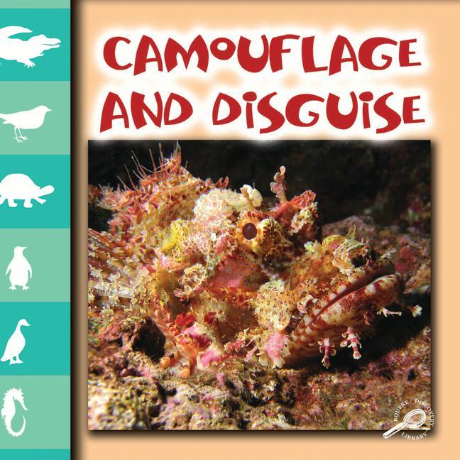 Camouflage and Disguise - Lynn Stone