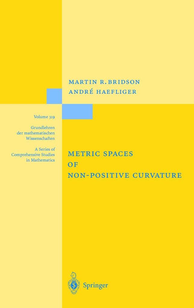 Metric Spaces of Non-Positive Curvature - Martin R. Bridson/ André Häfliger