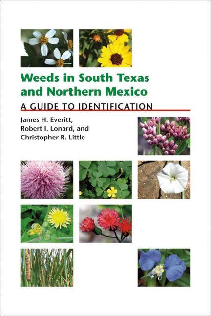 Weeds in South Texas and Northern Mexico: A Guide to Identification - James H. Everitt/ Robert Lonard/ Christopher Little