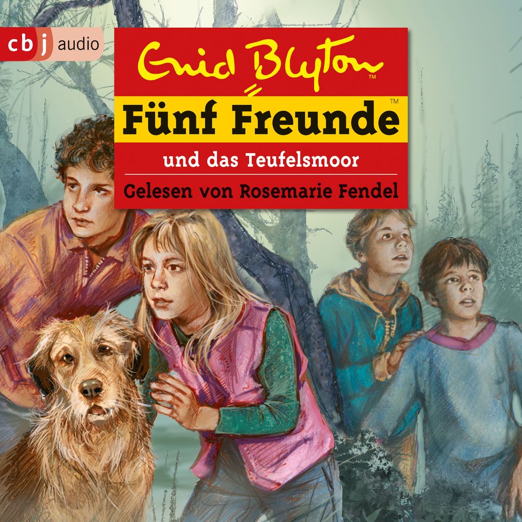 Fünf Freunde und das Teufelsmoor