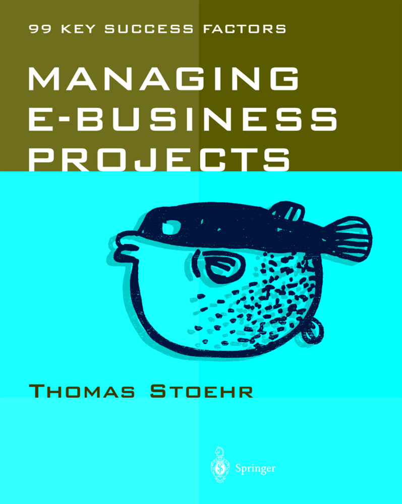 Managing e-business Projects