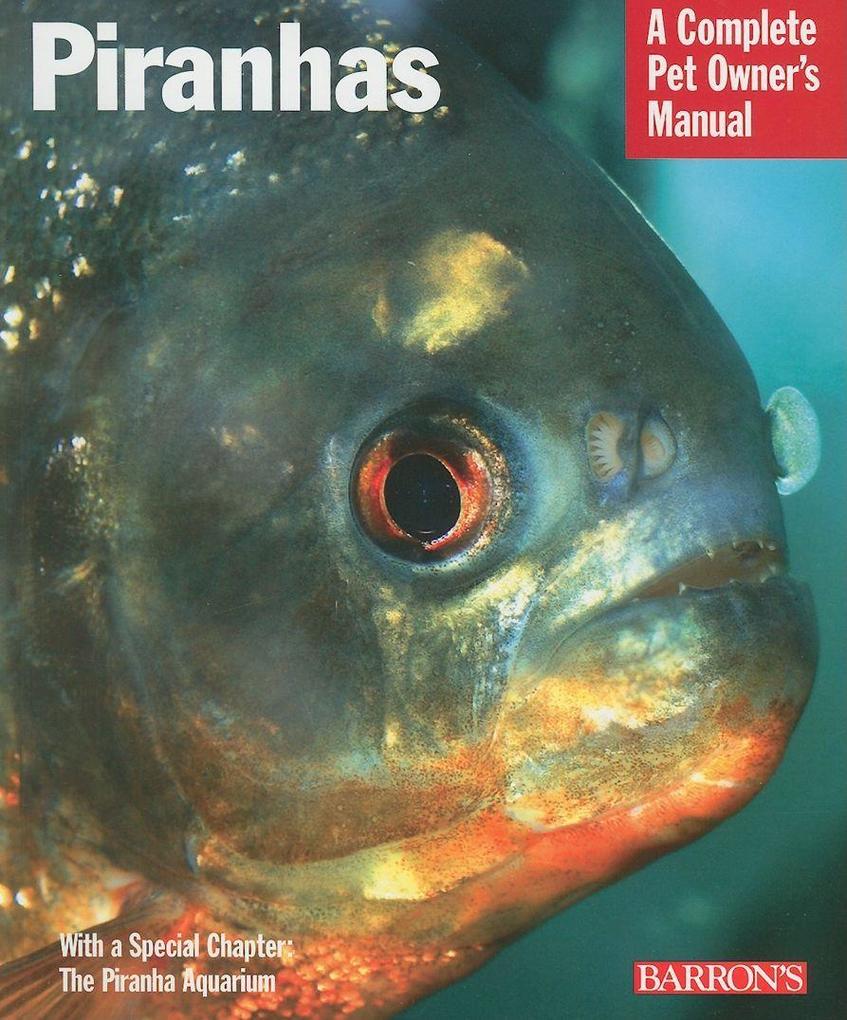 Piranhas: Everything about Purchase Nutrition Behavior and Breeding