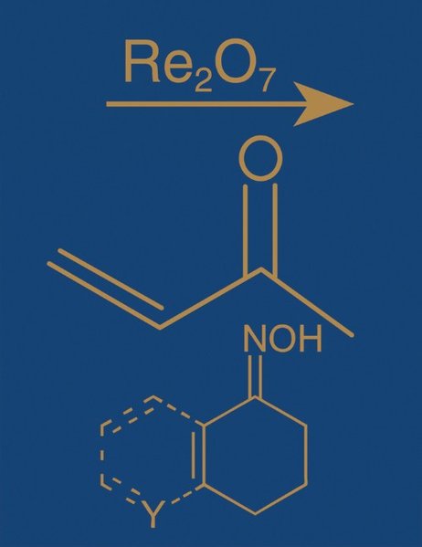 Comprehensive Organic Name Reactions and Reagents 3 Volume Set - Zerong Wang