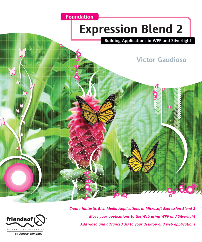 Foundation Expression Blend 2