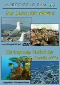 Das Leben der Möwen/tropische Vielfalt der Korallenriffe