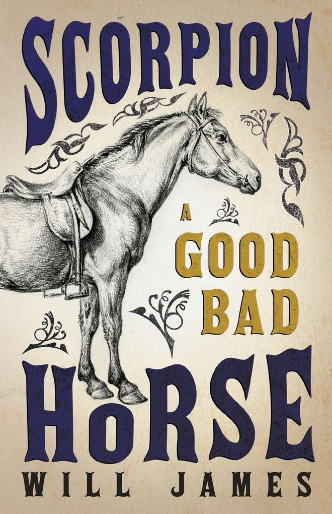 Scorpion - A Good Bad Horse