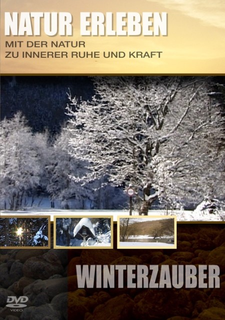Winterzauber 1 DVD