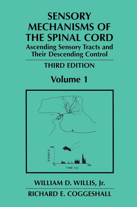 Sensory Mechanisms of the Spinal Cord