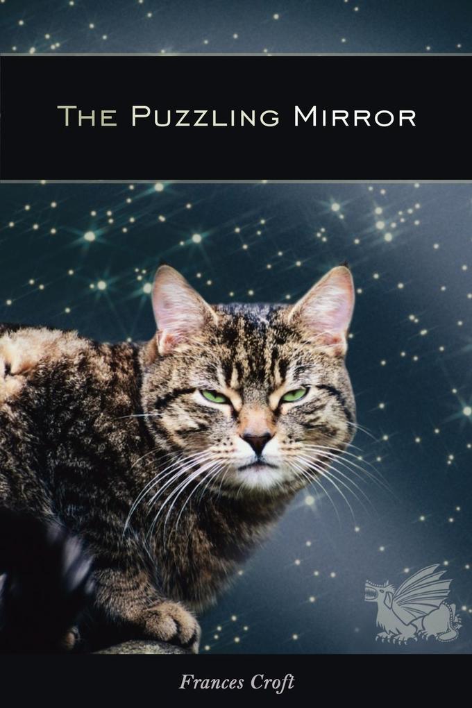 The Puzzling Mirror