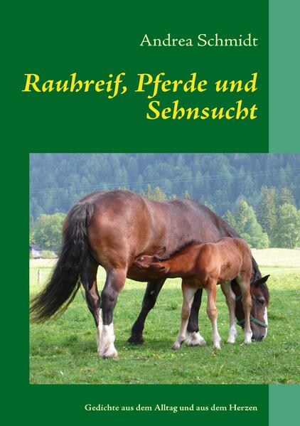 Rauhreif Pferde und Sehnsucht