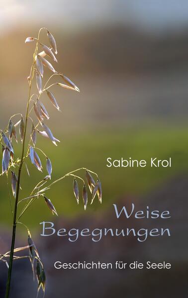 Weise Begegnungen - Geschichten für die Seele