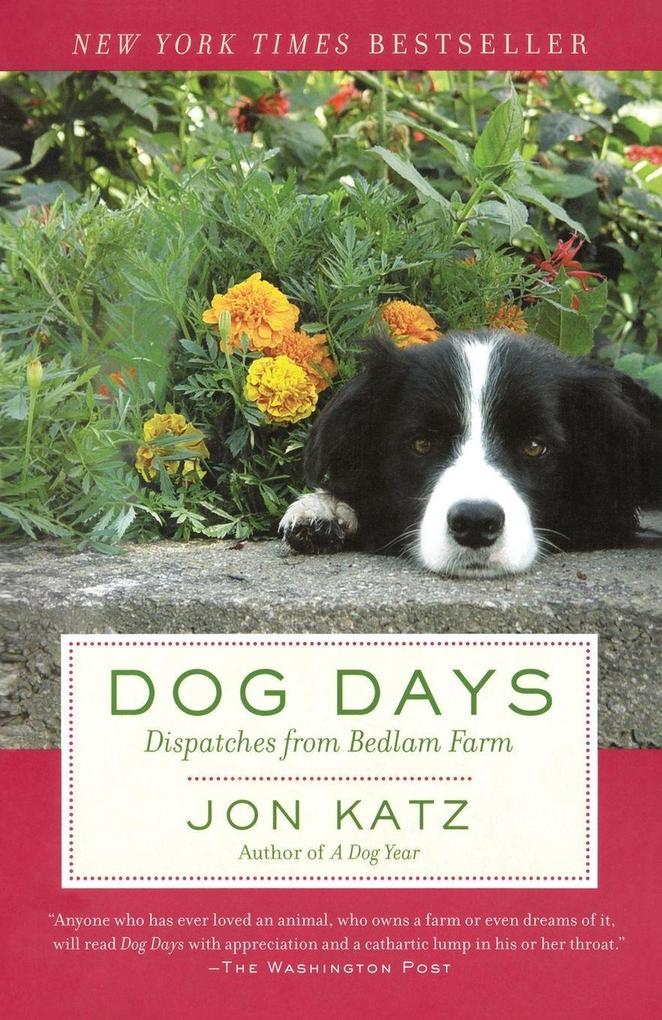 Dog Days