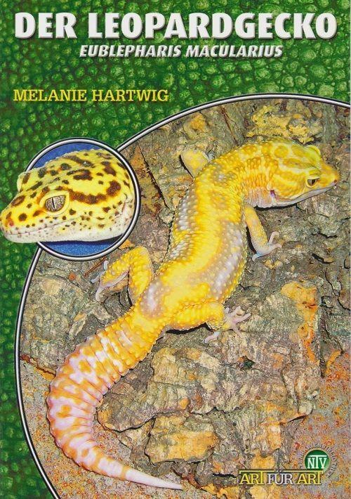 Ntv Natur Und Tier-Verlag Der Leopardgecko - Eublepharis Macularius - Bild 7