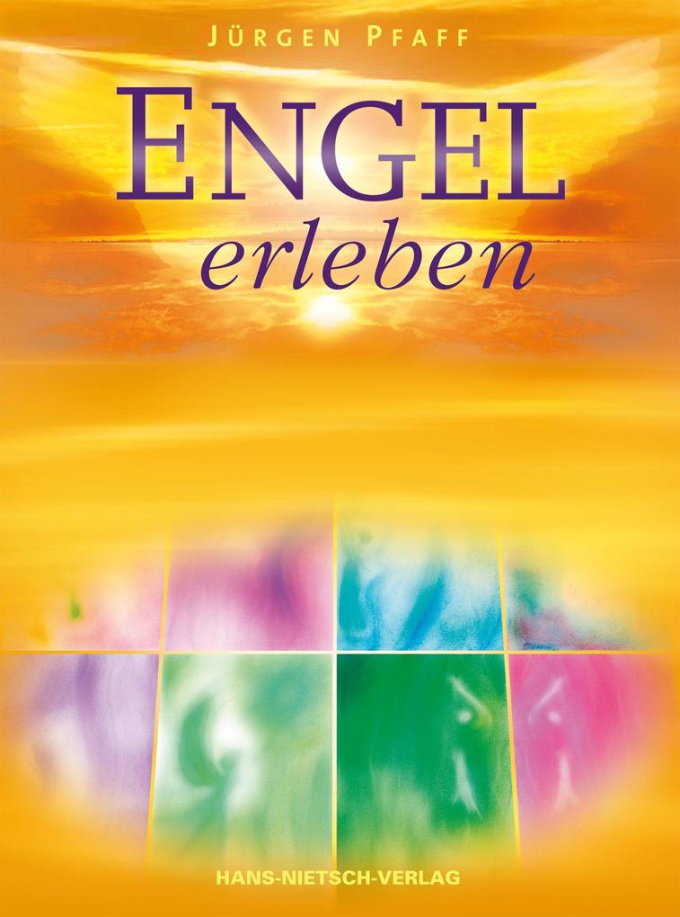 Nietsch H. Engel Erleben, Biografien Von Jürgen Pfaff - Bild 5