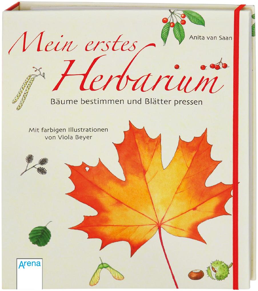 Image of Mein erstes Herbarium - Bäume bestimmen und Blätter pressen